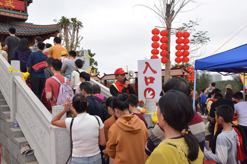 遂溪志愿春节不打烊 服务孔子文化城